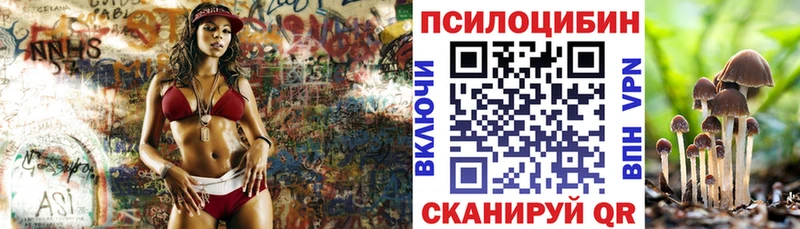 Галлюциногенные грибы мицелий наркотики Ржев