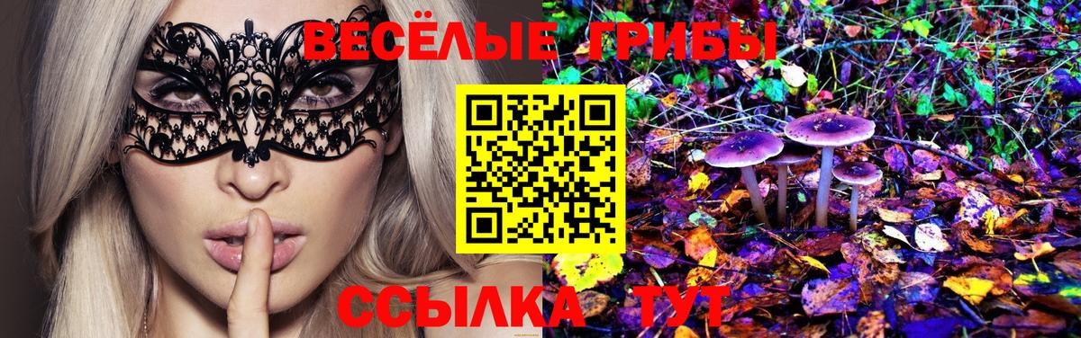 Галлюциногенные грибы Cubensis Ржев