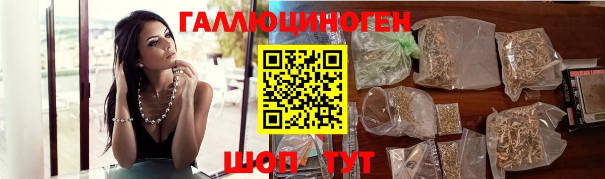 купить наркотики сайты  Псилоцибиновые грибы Psilocybine cubensis  Ржев  Псилоцибиновые грибы мицелий 